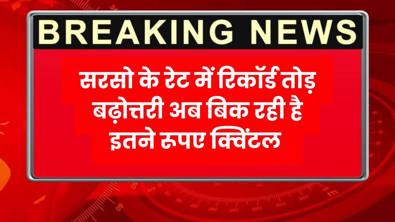 Sarso Price Hike