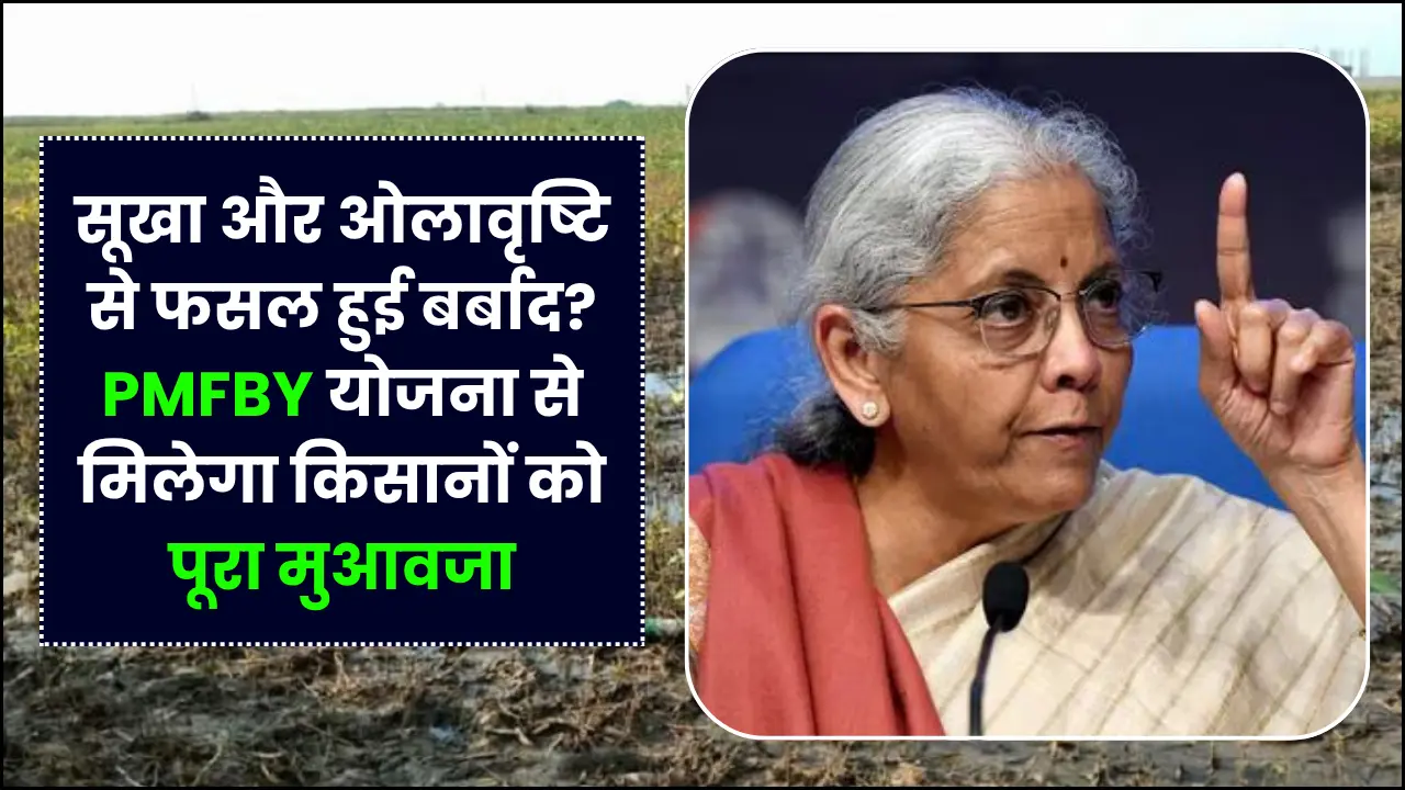सूखा और ओलावृष्टि से फसल हुई बर्बाद? PMFBY योजना से मिलेगा किसानों को पूरा मुआवजा